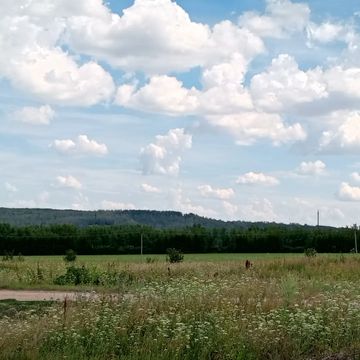 Деревенская красота