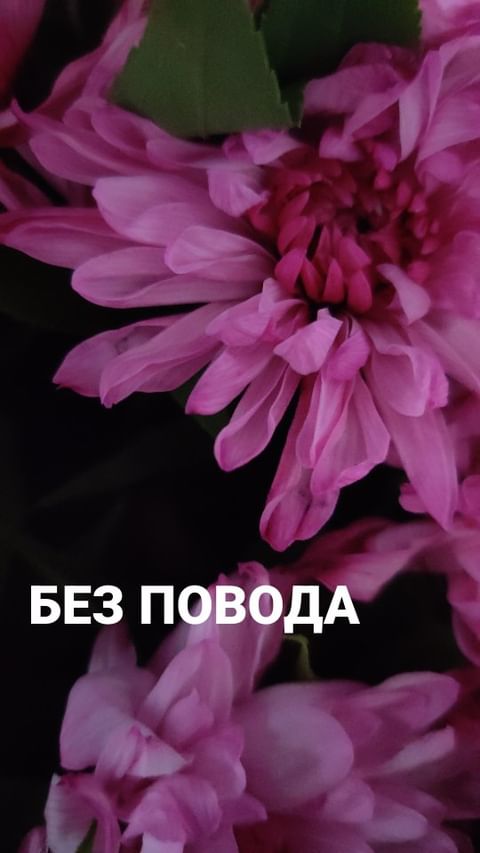 alenakarkach в LOOKY. . null
