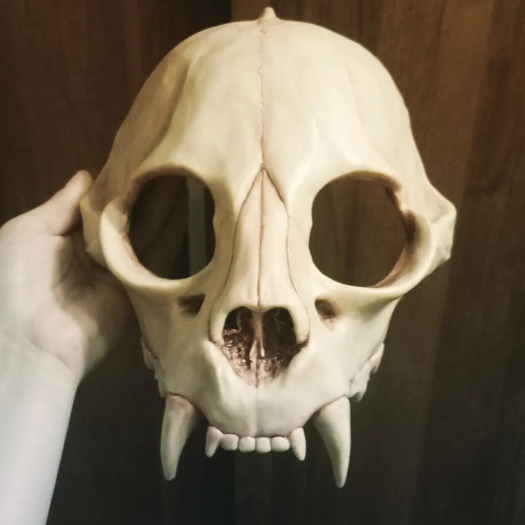 bloodest_sun в LOOKY. #skulldog,#skullcat,#skullfursuit,#fursuitmaker,#furryfandom,#creepyfursuit,#resinskullmask,#resinfursuit. Skull cat mask are d...