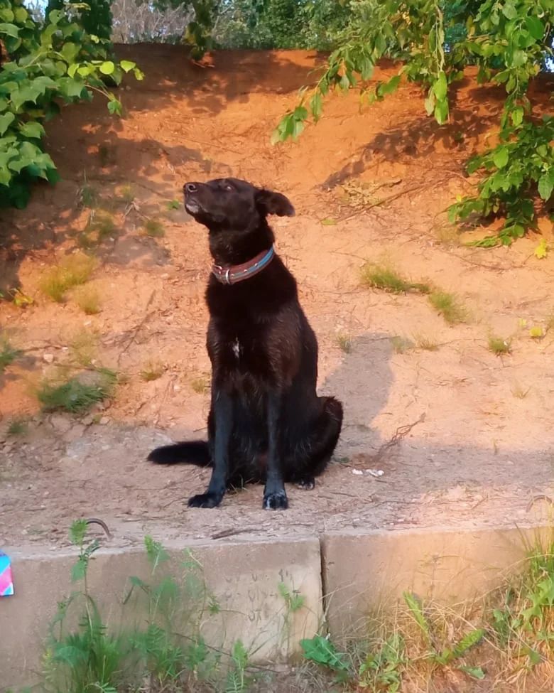 Мой маленький Бу😍