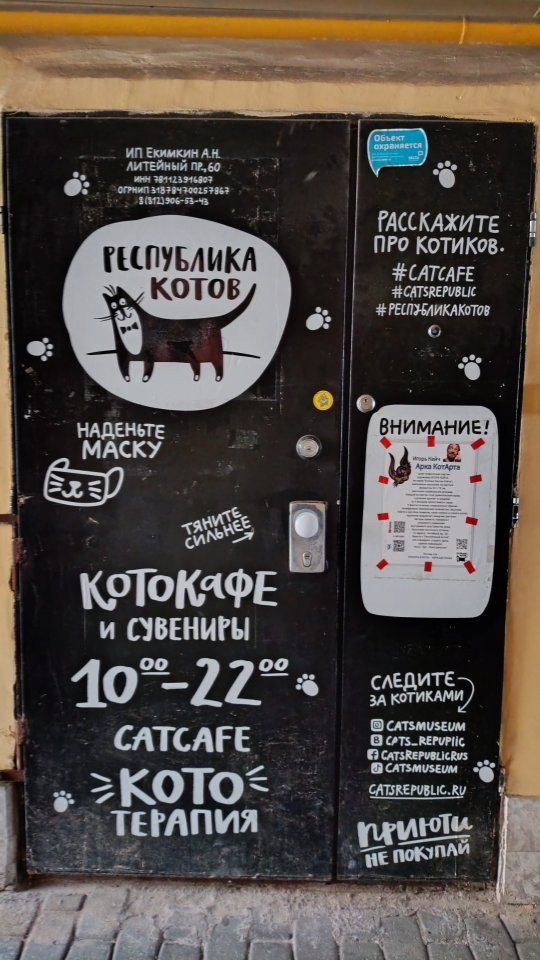 ekakuzya в LOOKY. #республикакотов,#catsrepublic. Подворотни СПб 😎
#р...