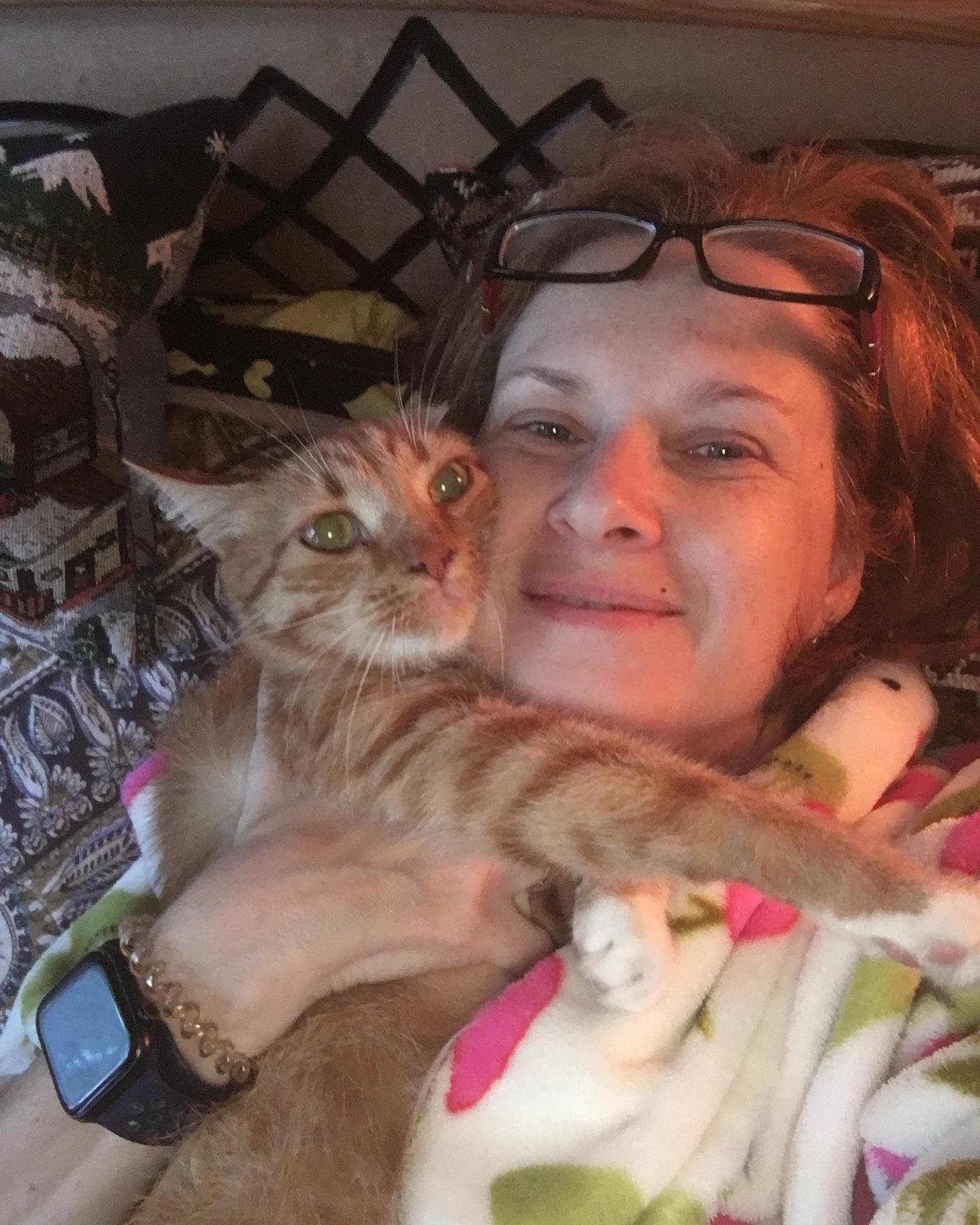 yakovaleksandrovich in LOOKY. #котя,#кот,#котики,#котикилучшелюдей,#котикитакиекотики,#яша. Бобрейшего утречка �...