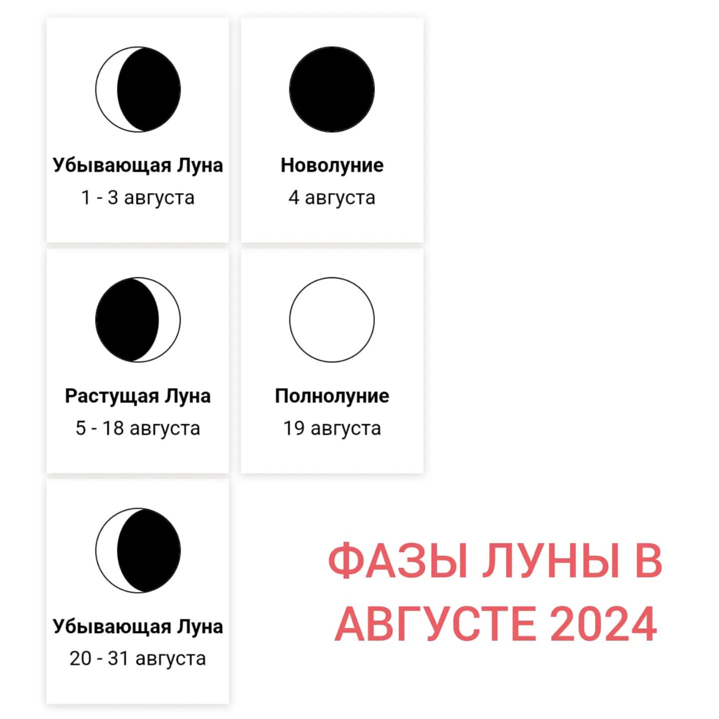 drygaiasila1 в LOOKY. . null