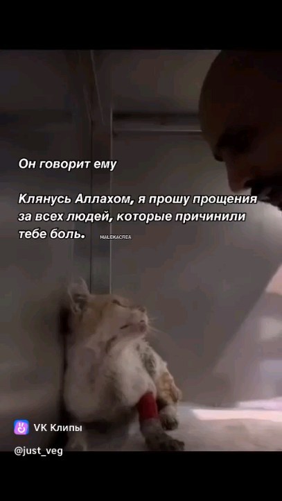 efanov_eduard в LOOKY. . null