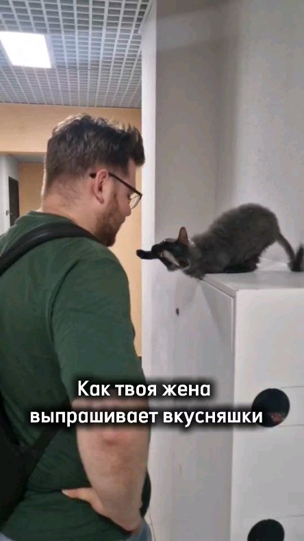 mir.s_life в LOOKY. #юмор,#приколы,#девушки,#смешно,#интересное. Для кого жиза? #юмор...