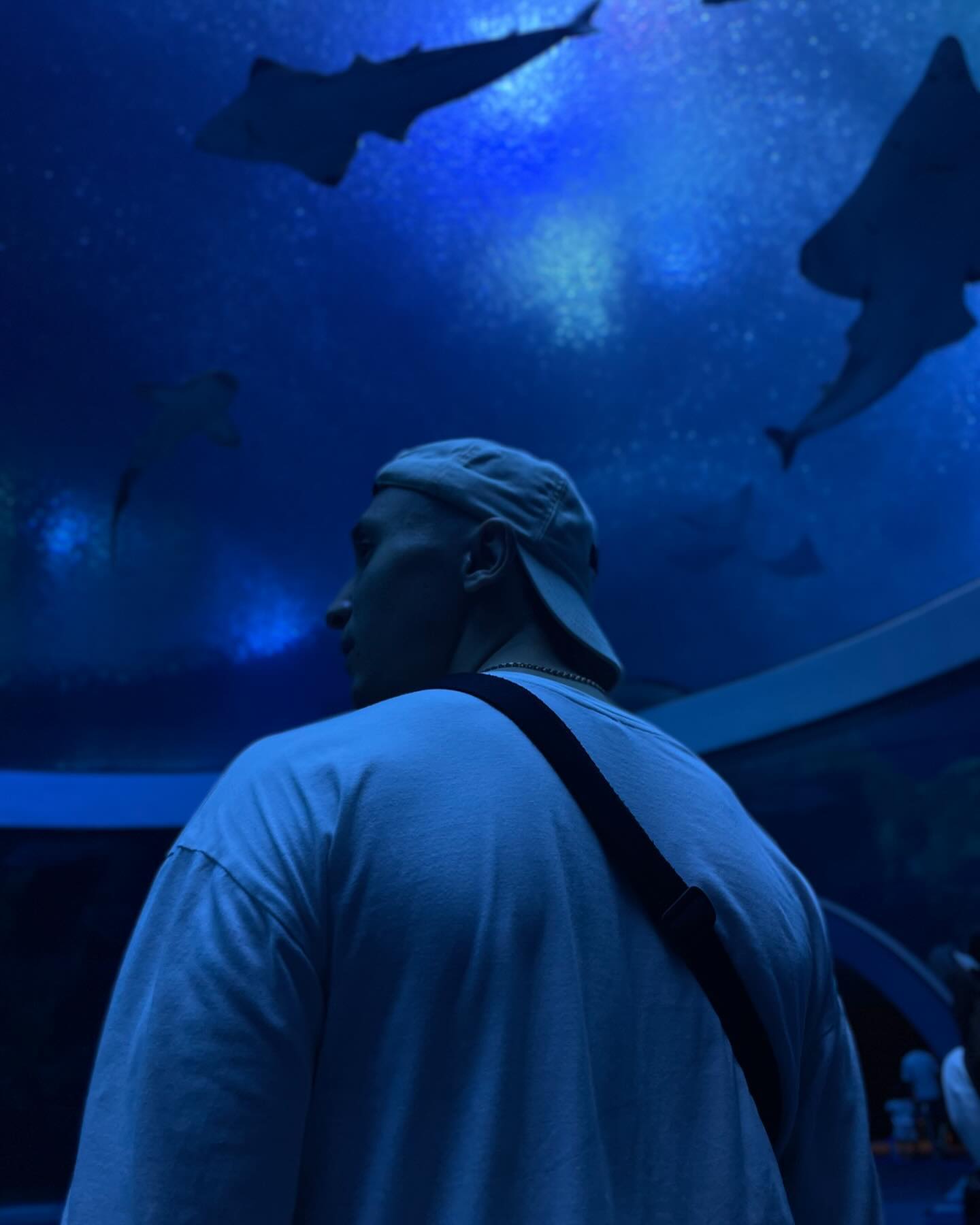 thisisakimoff в LOOKY. . Ocean Kingdom поража...