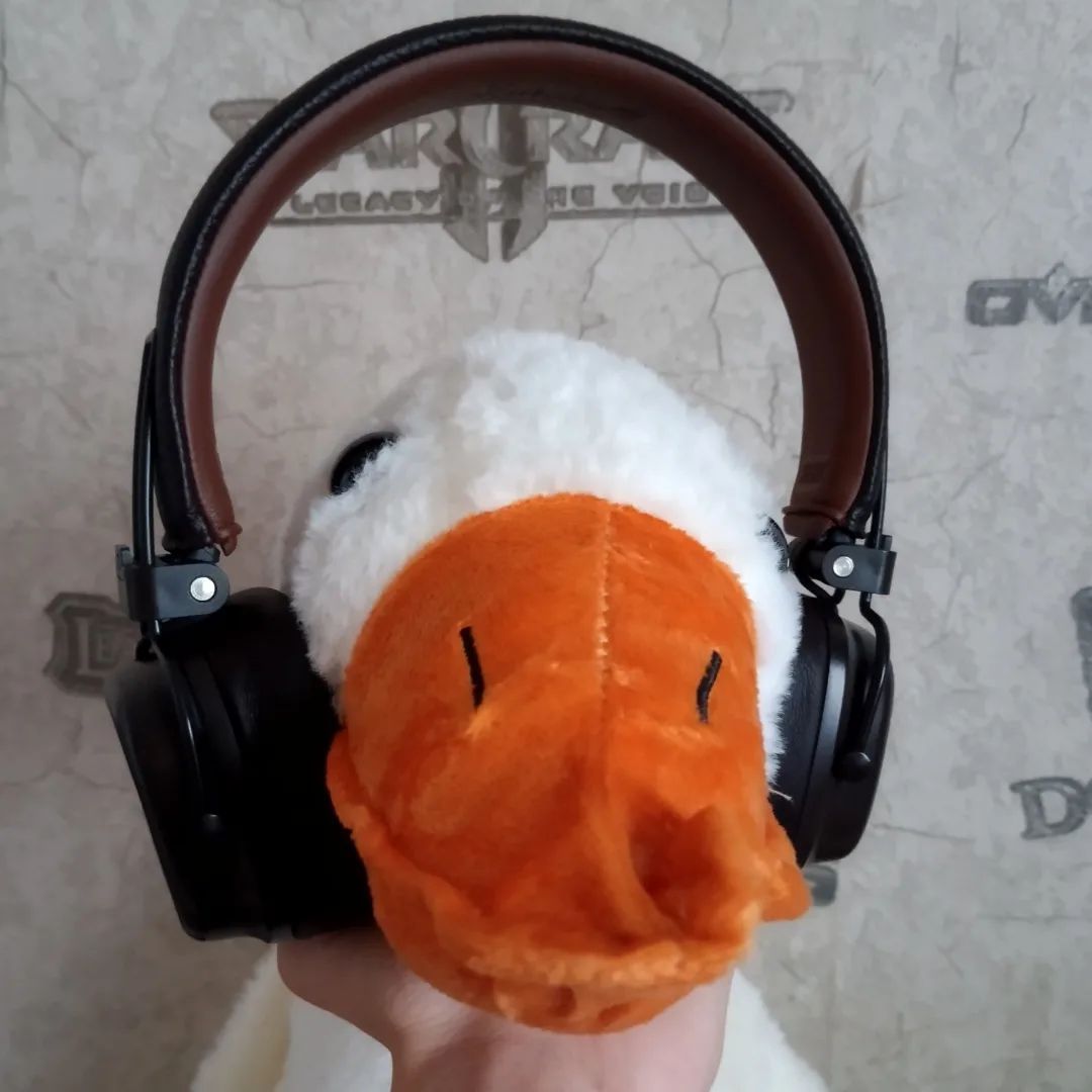 dreg_dag0_0 в LOOKY. . Гусь олегасексуал