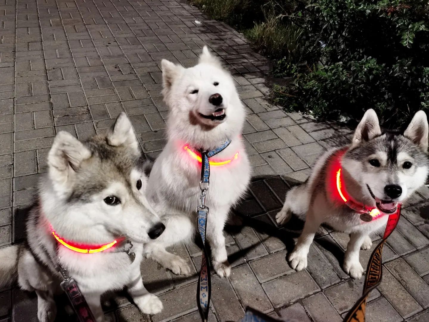 husky_gorda в LOOKY. #казаньфото,#прогулкапоказани,#хаски_казань. Красота ночной Казан...