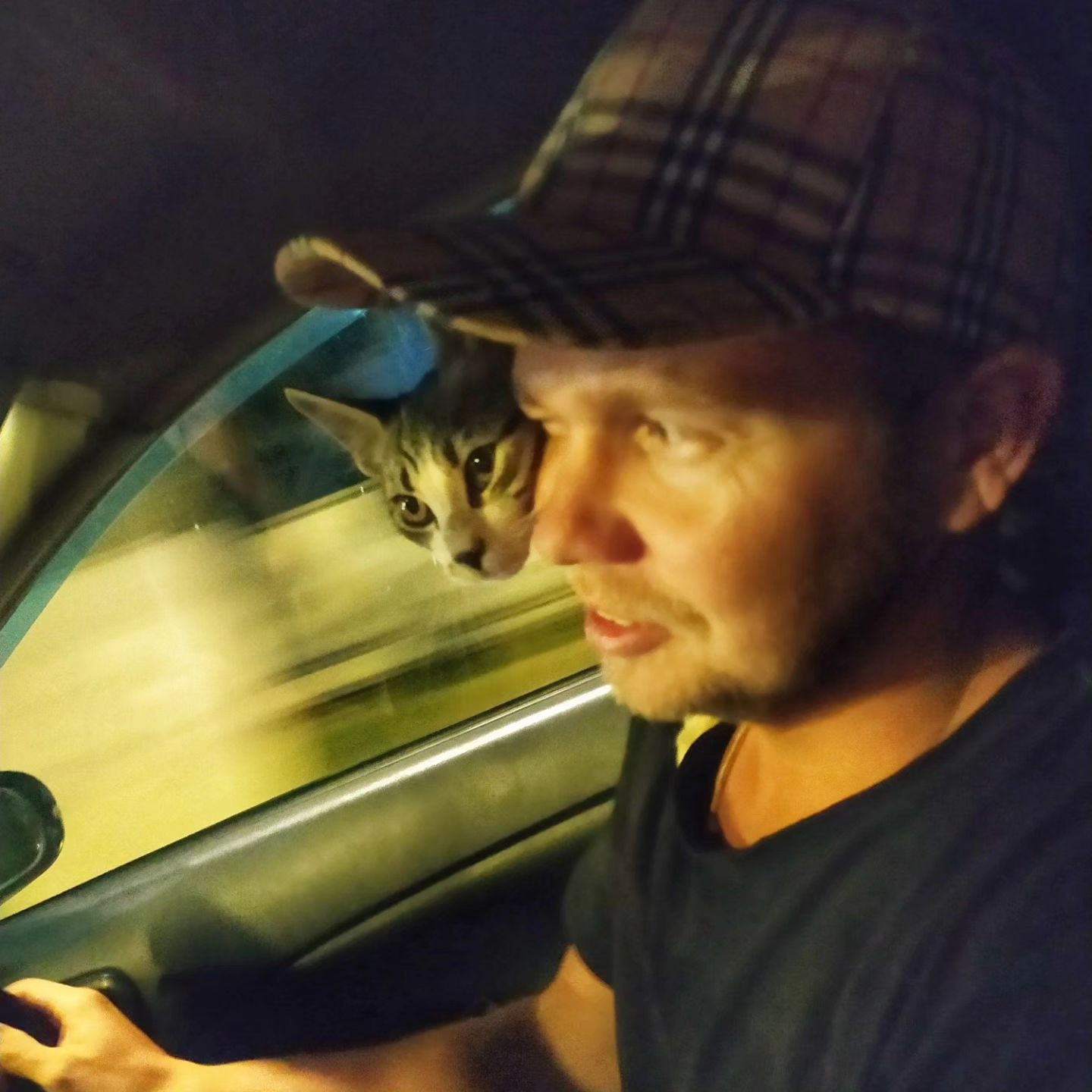 makc__93 в LOOKY. . На дороге вот такое ...