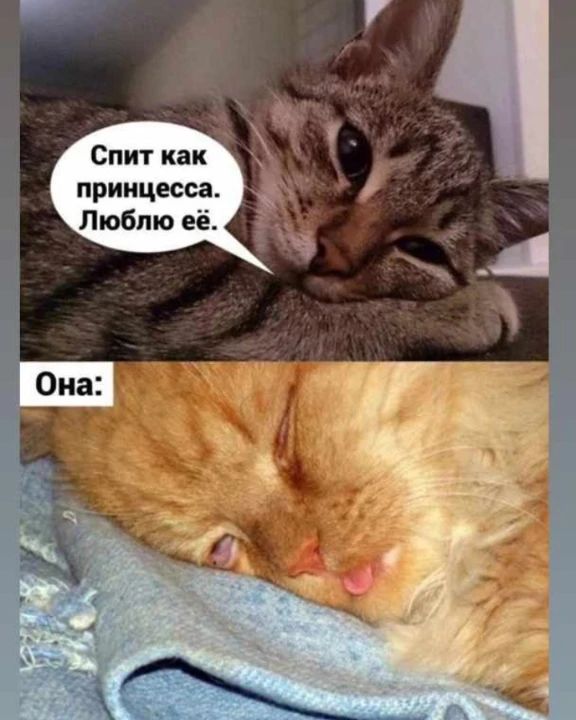 vict.orloff.2 в LOOKY. . Бывает, влюбишься.
П...