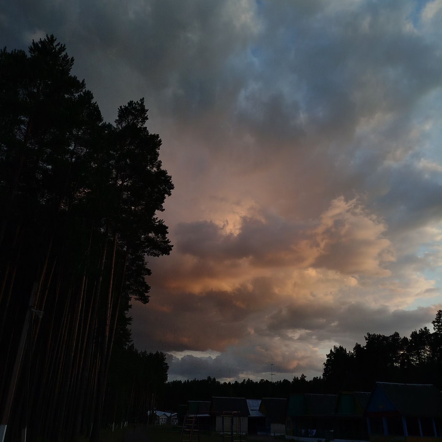 _fa1len.angel_ в LOOKY. #лагерь. Папарать кветка 2024...