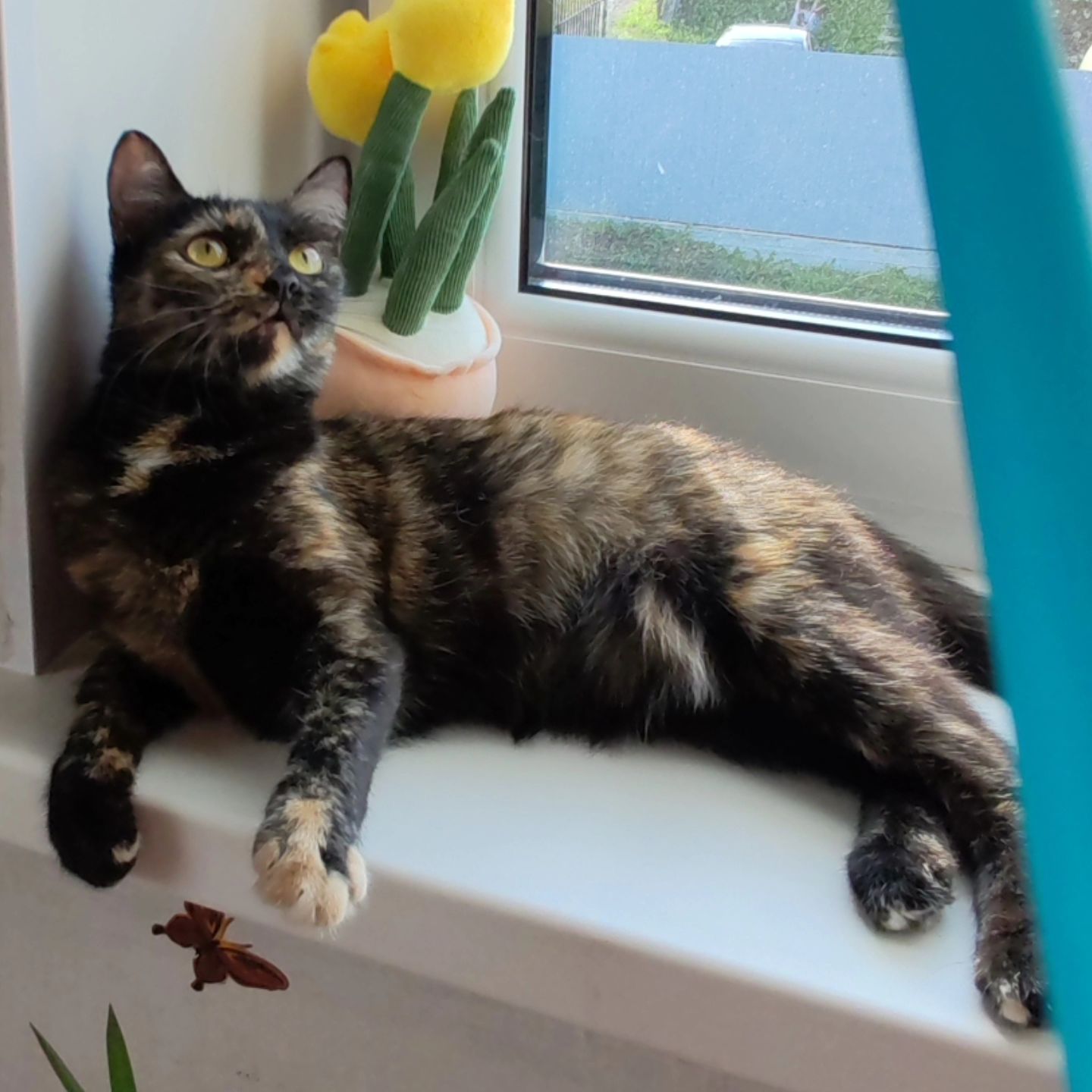 hotel_kotfelix в LOOKY — фото 9