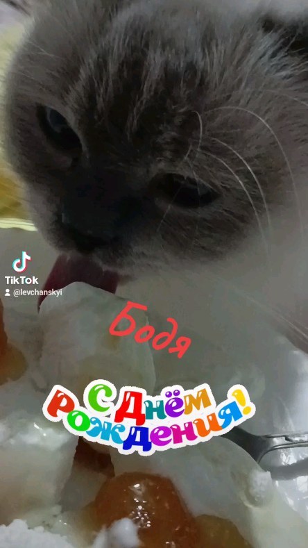 levchanckiy в LOOKY. #бодянлевчанский,#деньрождения,#золотойфонддрузей,#котикинаркотики. Сегодня день рождени...