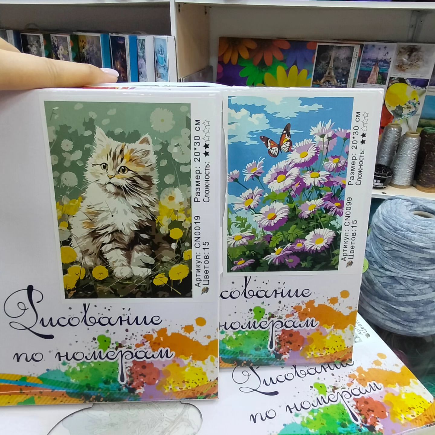 marya_iskusnitsa_bel в LOOKY. . Рисование по цветном...