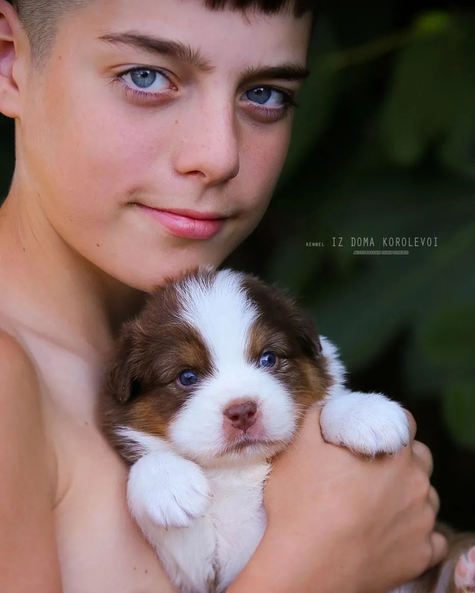 iz_doma_korolevoi_kennel в LOOKY — фото 3