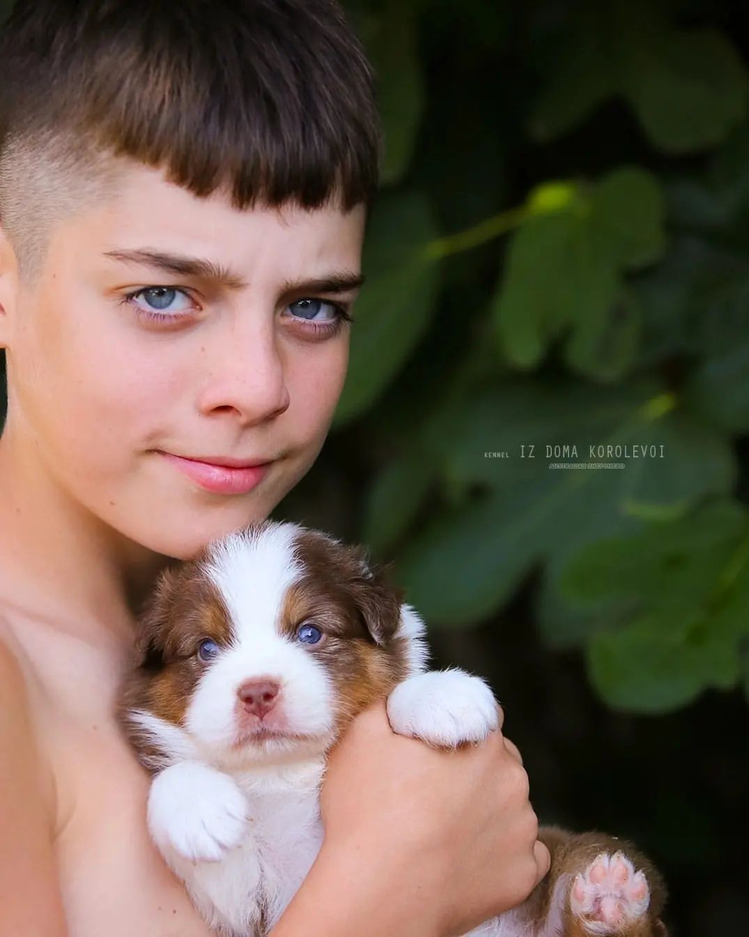 iz_doma_korolevoi_kennel в LOOKY — фото 4