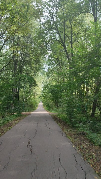 yanchik_patakova_ в LOOKY. #мотаюкм😎🌞,#лето2024,#леснаяатмосфера,#парклосиныйостров🌱🌲🌳,#Москва,#patakovastory. И снова возвращаемся...