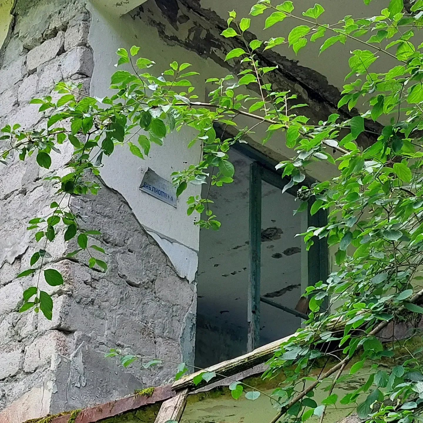 shumilov.me в LOOKY. #акапа,#Сухум,#абхазия,#апсны,#Abkhazia,#biketour,#biketouring,#велосипед,#велопрогулка,#велотуризм,#kross,#krossbikes. Хотел зайти в библио...