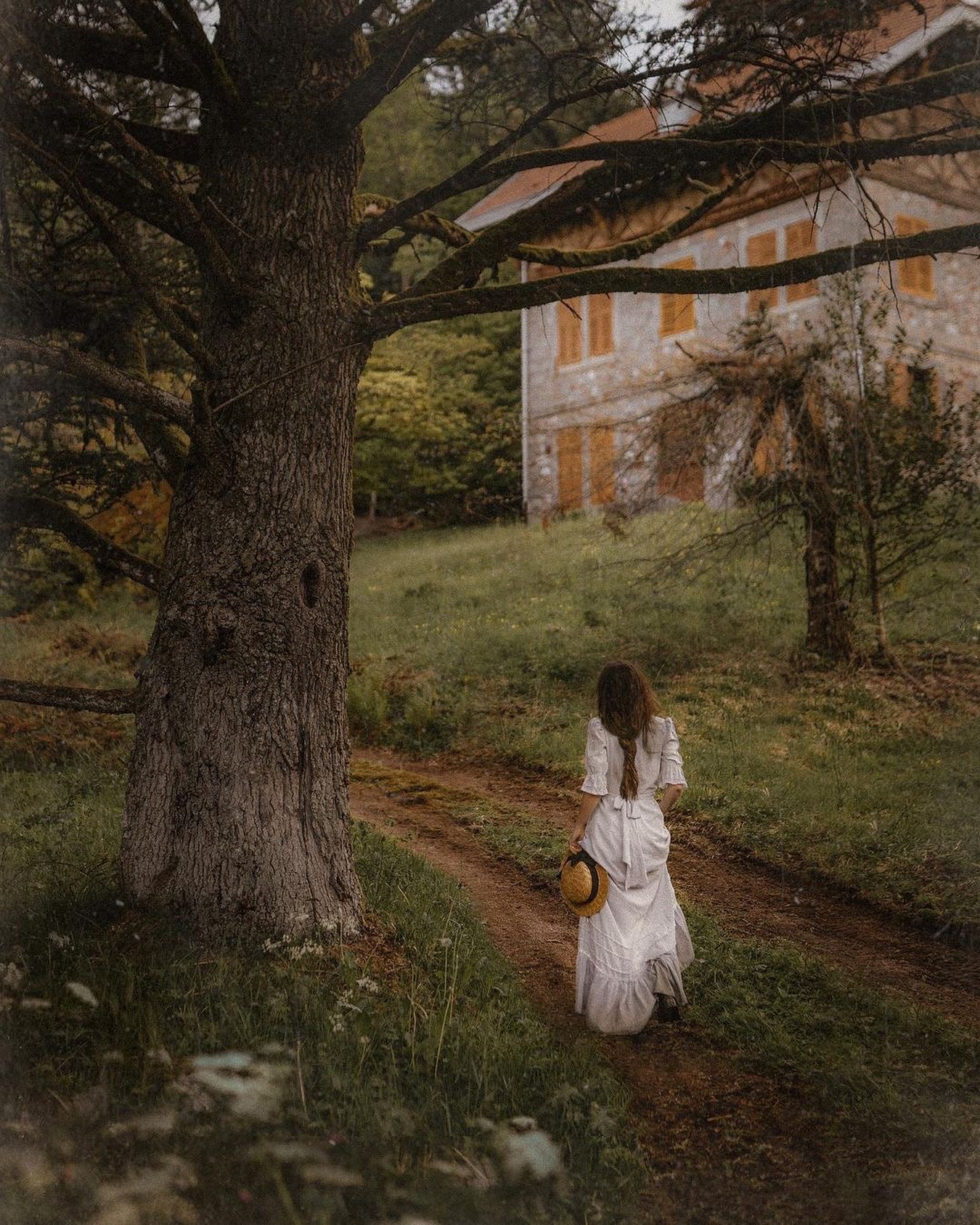 mira.soul_ в LOOKY. . Прогноз @the_artists...