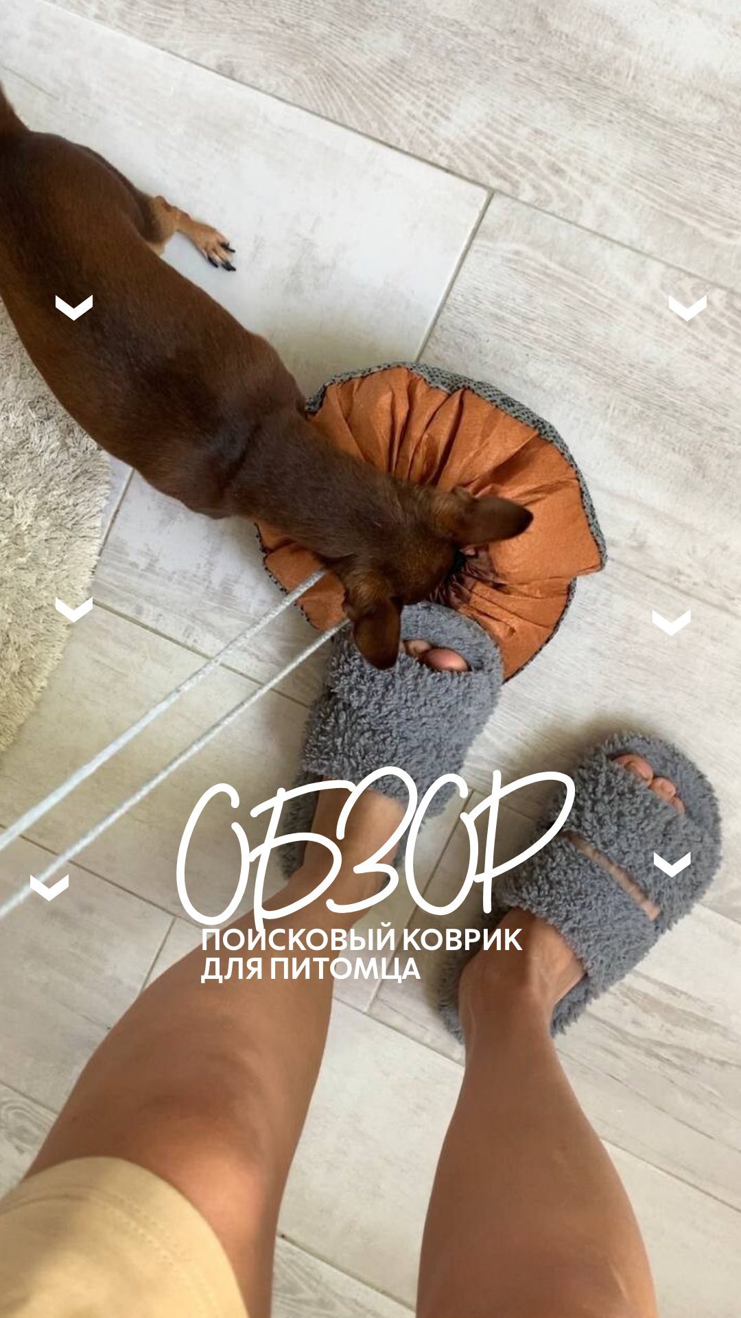 araucher_ в LOOKY. . Всем йоу🖖🏾
Сегодня...