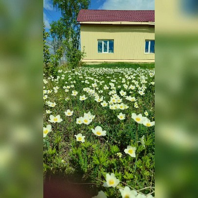 julia_arkadievna_yakovleva in LOOKY. . Сайын 2024