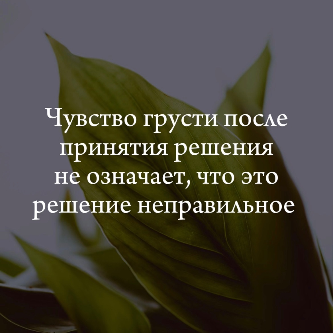 tanya_facele в LOOKY. . Не грусти🤍