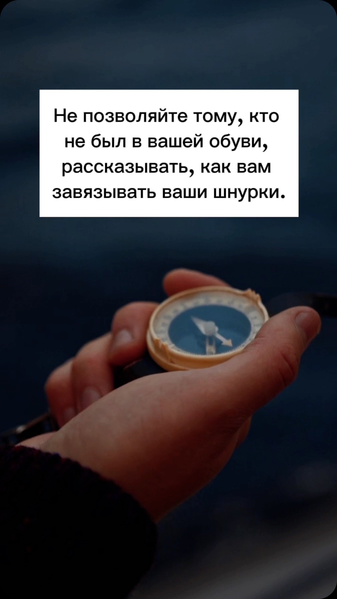 tanya_facele в LOOKY. . null