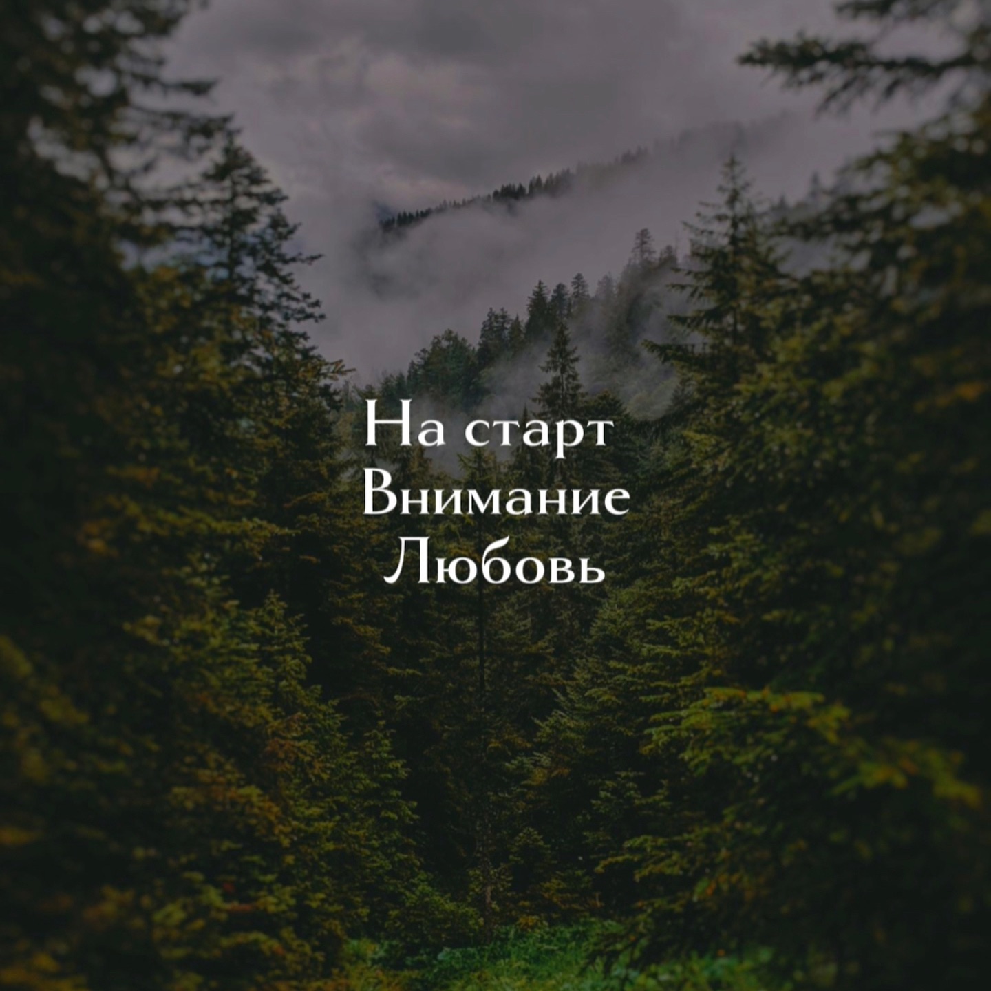 Еще больше обоев с мотивацией в телеграмм канале💥 ссылка в шапке профиля

мотивация, блог, продвижение, рилс, саморазвитие, цитаты, личный рост, мышление, психология, развитие, продвижение через рилс, как набрать ПОДПИСЧИКОВ, стихи, поэзия