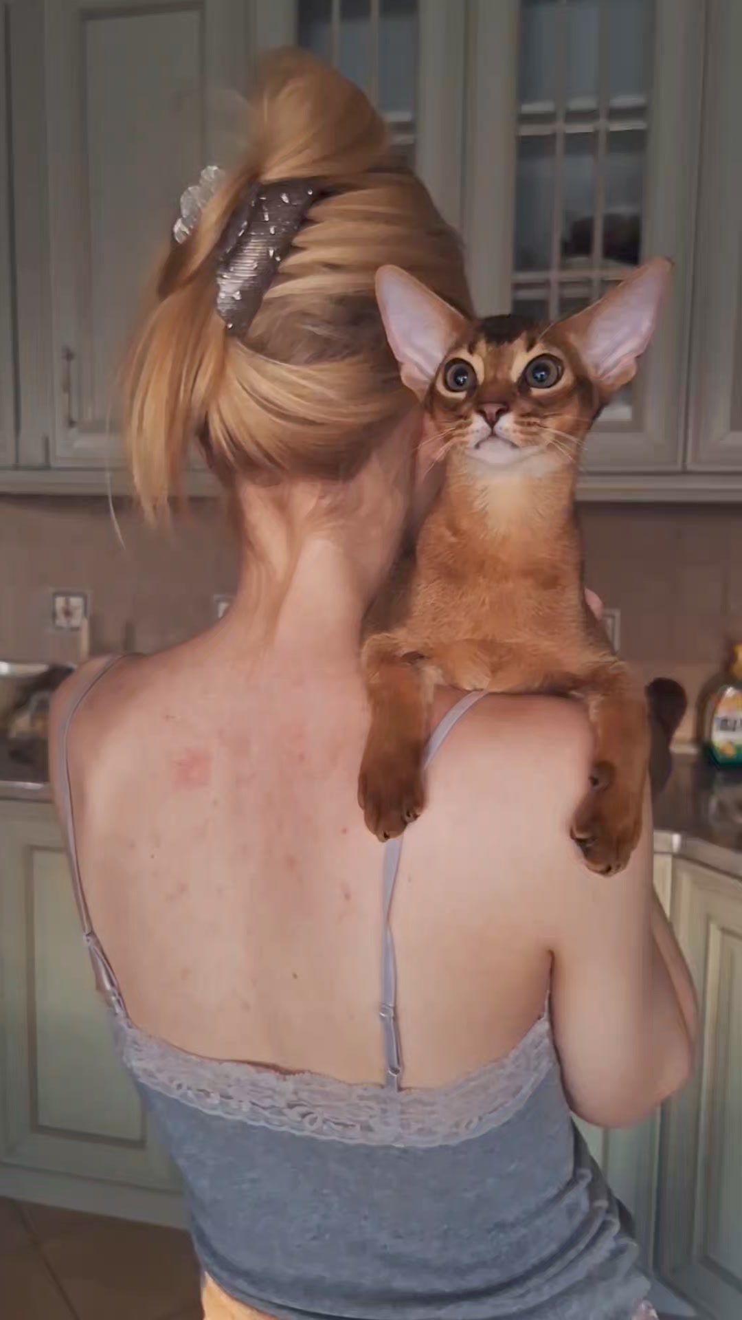 abyful в LOOKY. #abyssinian,#abyssiniankitten,#abyssiniancats,#абиссинскиекотята,#абиссины. Мальчишки наши, Тёмо...