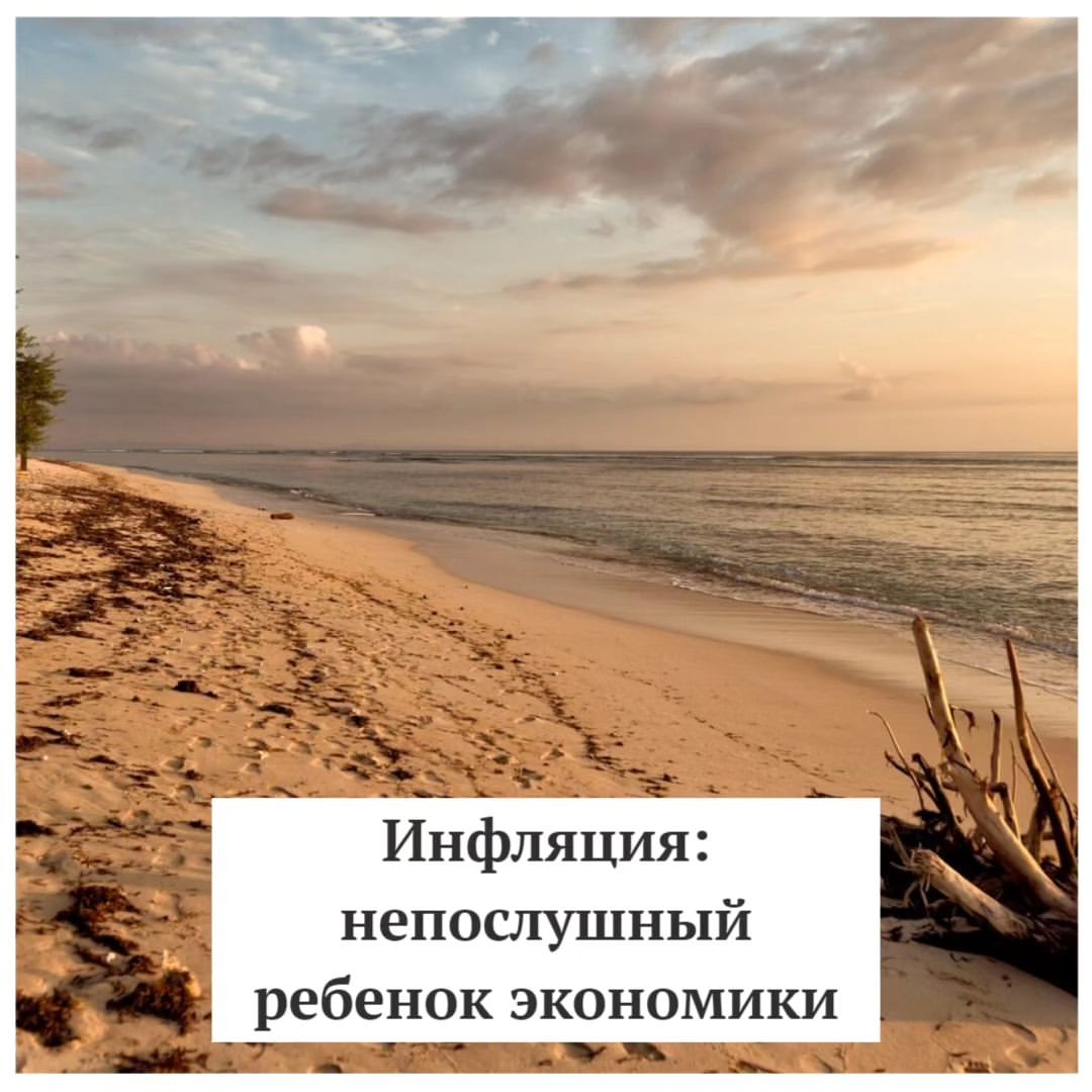 anna.budgetika в LOOKY. #АняМамаФинансист. Знаете, инфляция нап...