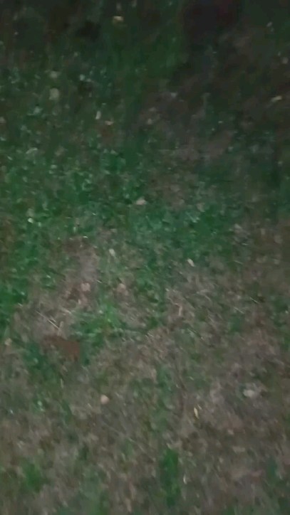 alepshik в LOOKY. . null