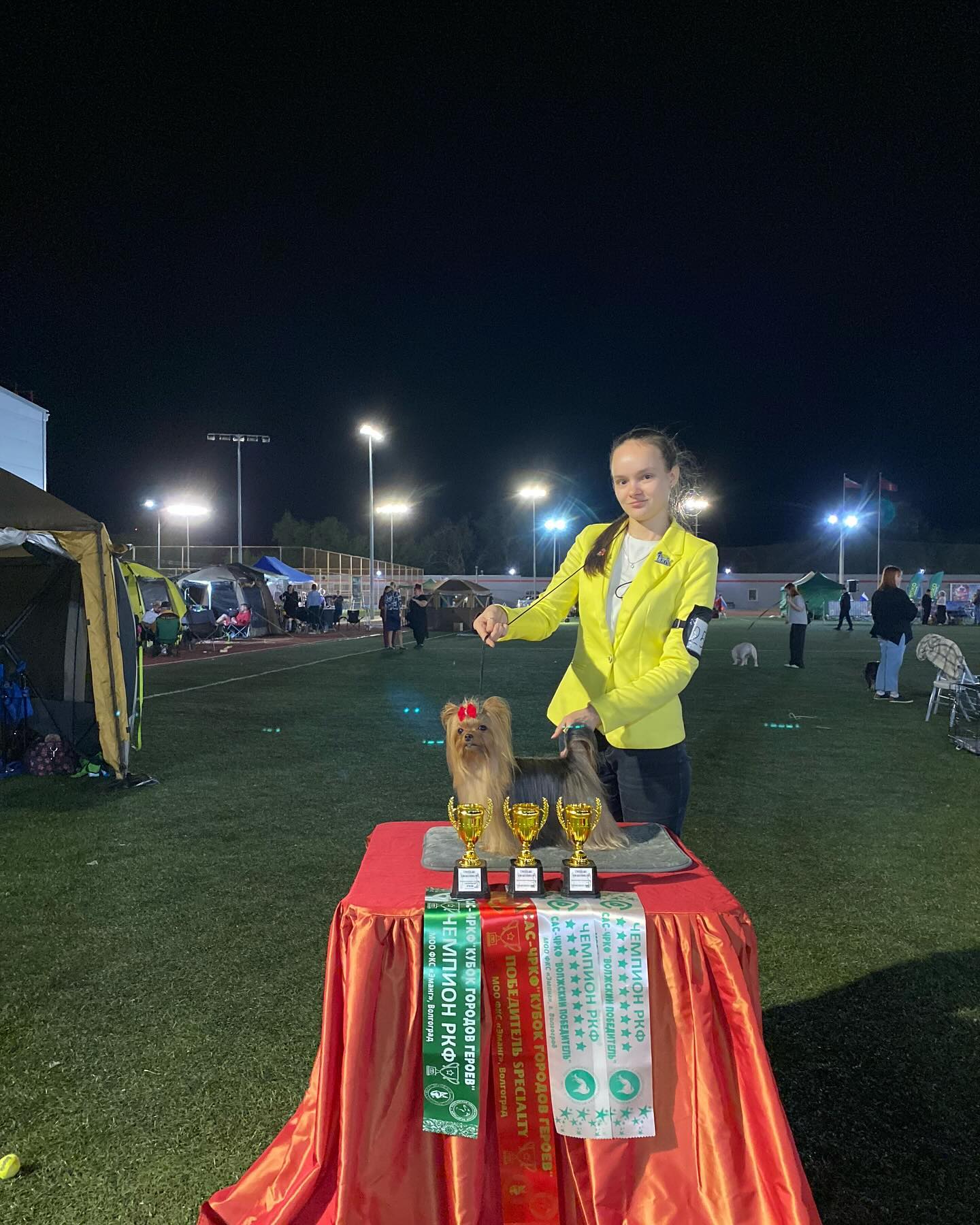 jessie_and_delisia в LOOKY. #Delisia_DogShow,#Delisia,#DelisiaBows. В эти выходные мы ез...