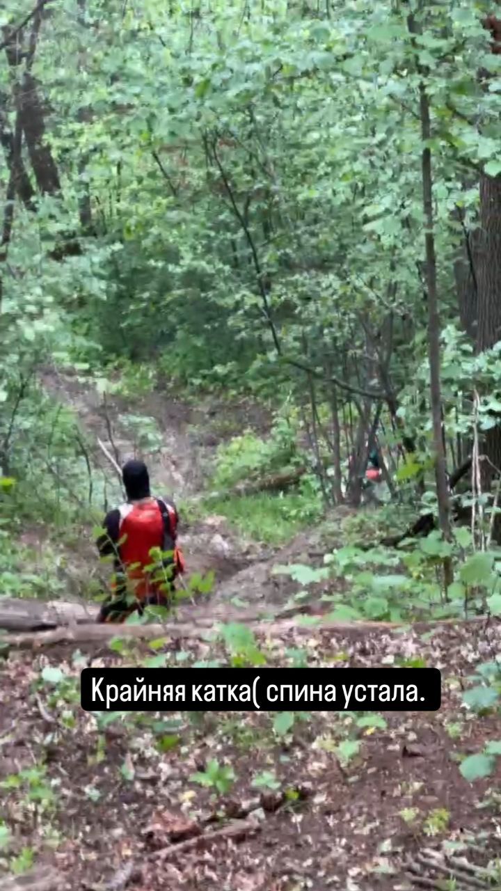 buldo3ep в LOOKY. . null