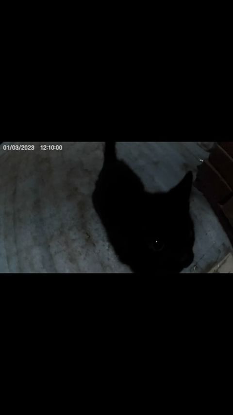 deeps1gh в LOOKY. . null