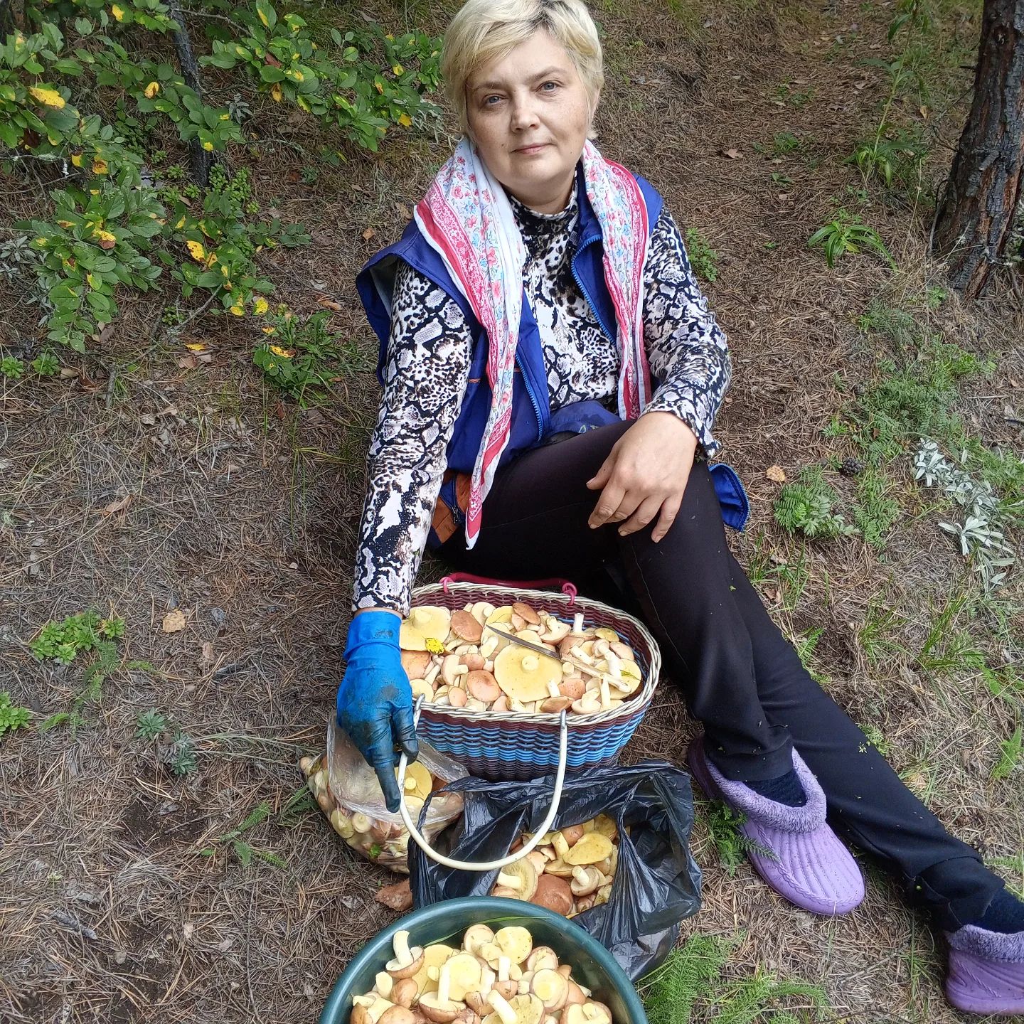 ingafilatova182 в LOOKY. . Чудесное время грибн...