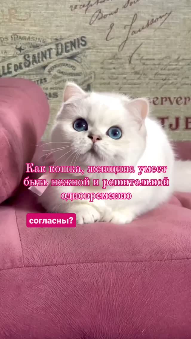 panasjuk_alena в LOOKY. . С кем ты больше всег...