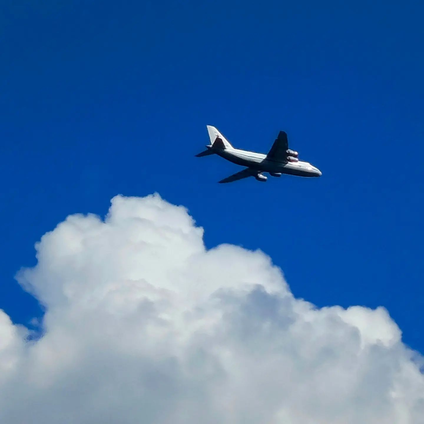 msa1330405 в LOOKY. #самолет. Самолёт над городом
...