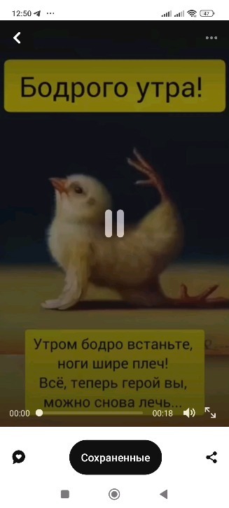 iamanovat41736 в LOOKY. . null