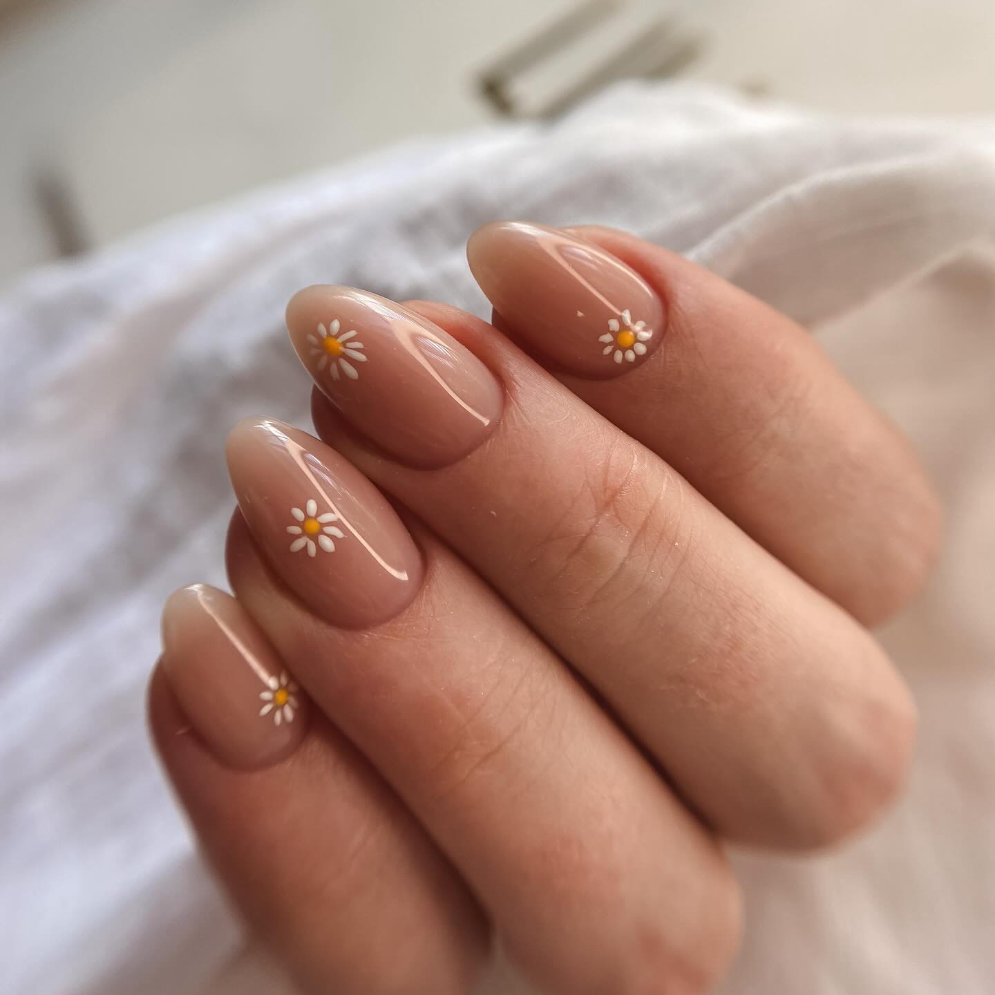 lolypop_studio в LOOKY. . Нежные ромашки😍

Ра...