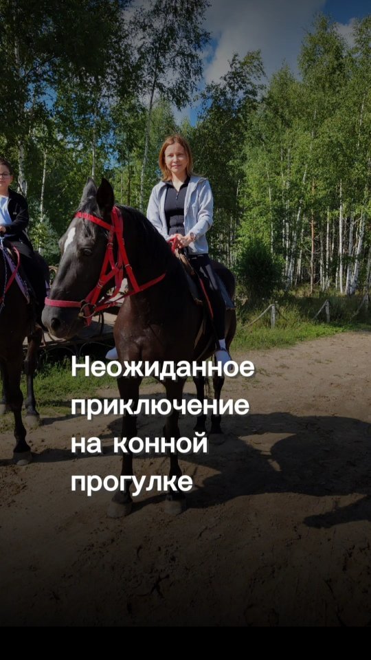 lilitamm в LOOKY. #конная,#выходные,#лошадь,#шлема,. Если вам кажется, чт...