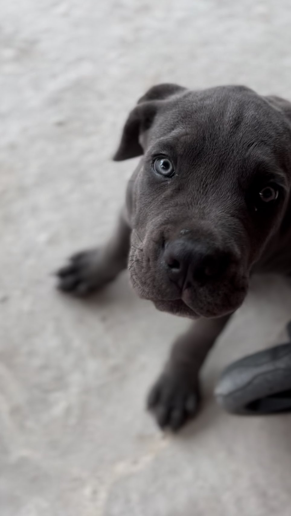 kseniya__kharchenko в LOOKY. . Вечерние обнимашки… ...