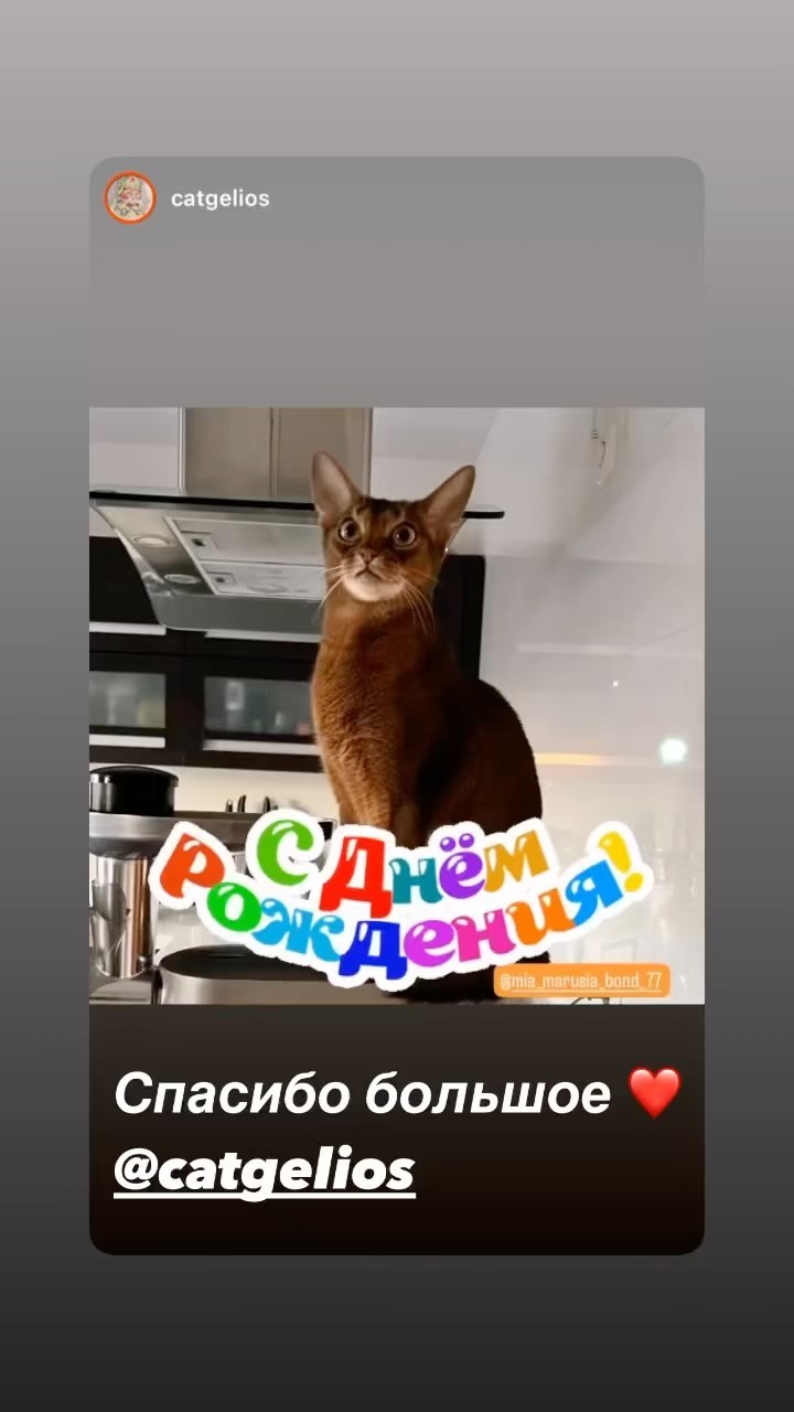 mia_marusia_bond_77 в LOOKY. . Спасибо за поздравле...