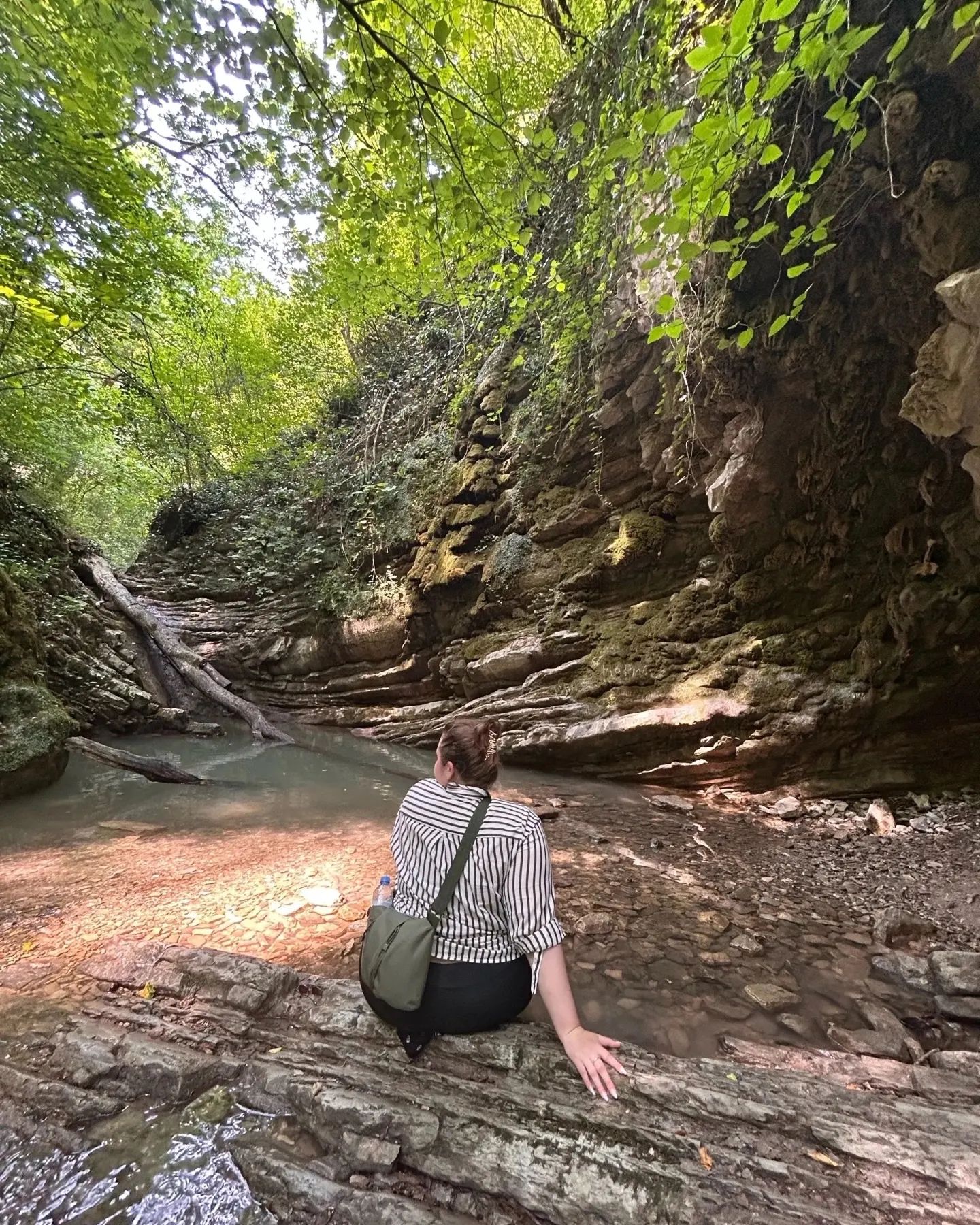 mulgogi____ в LOOKY. . null