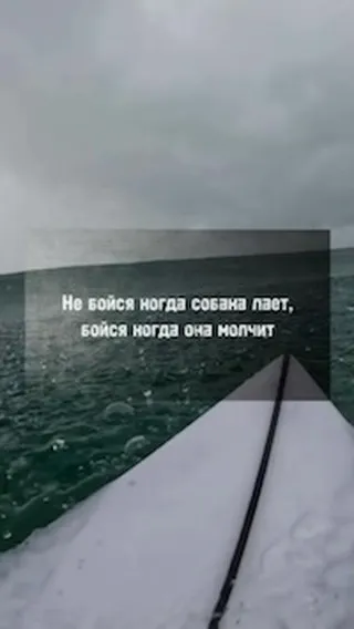 sstroci_ в LOOKY. #цитаты,#любовь,#грусть,#мысли,#цитатыпрожизнь,#психология,#депрессия,#цитатыизфильмов,#цитаты_дня,#цитатымудрых,#цитатыдлядуши,#цитатыжизни,#цитатымудрыхлюдей,#бизнесцитаты. Поддержи подпиской 3...