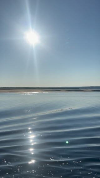Светлана в LOOKY. . null