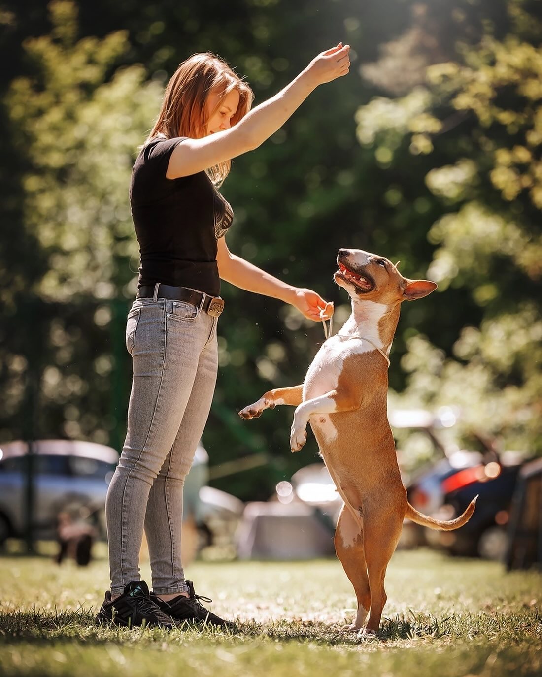 oksana_raketa в LOOKY. . Зверь лохматый, с ры...