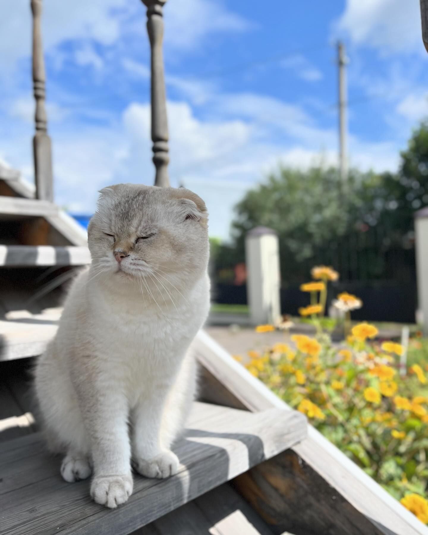 ___lucky__cat___ в LOOKY — фото 2