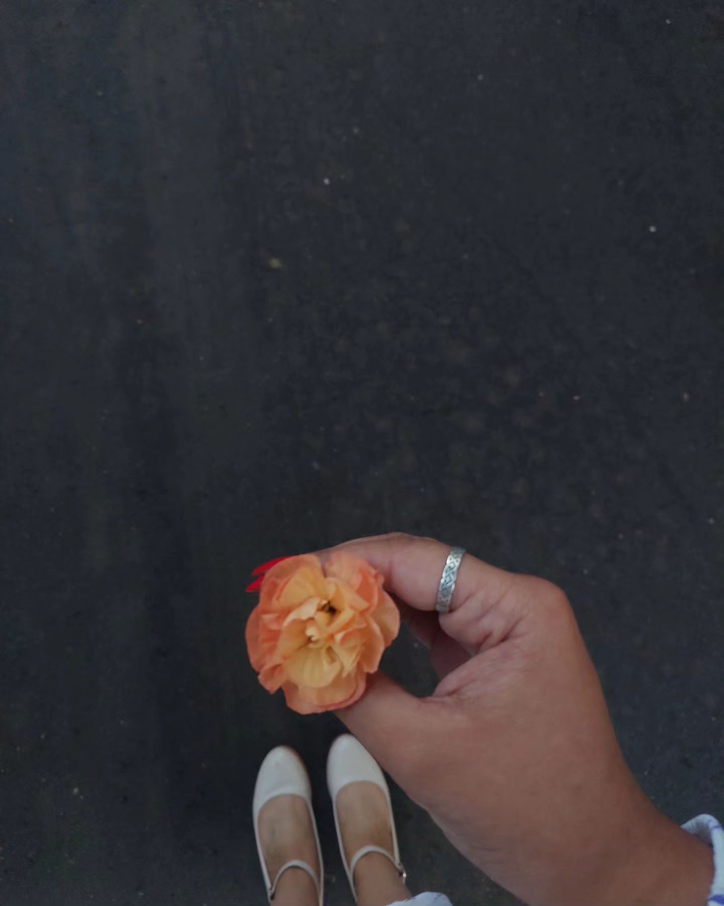 Скоро осень... 🍂