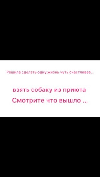 marinka_ivanova_msk в LOOKY. #всем,#инста,#собака,#собакаизприюта,#собакадругчеловека,#инстамама,#инстаграм,#инстаграм_порусски,#мама,#мамаблогер,#подпишись. #всем #инста #собака...