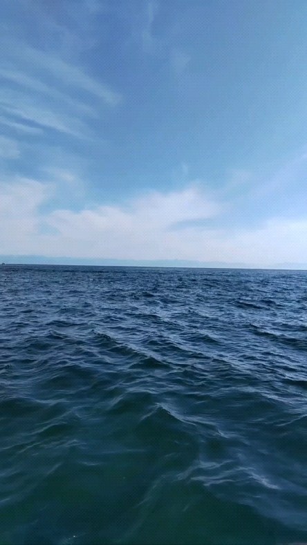 friendly_220 в LOOKY. . Baikal